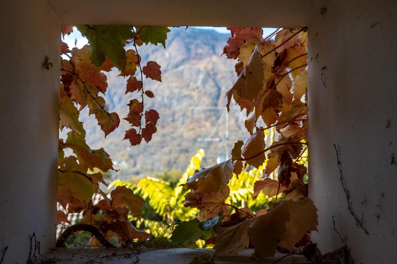 Bed & Breakfast Casa Toma Masera